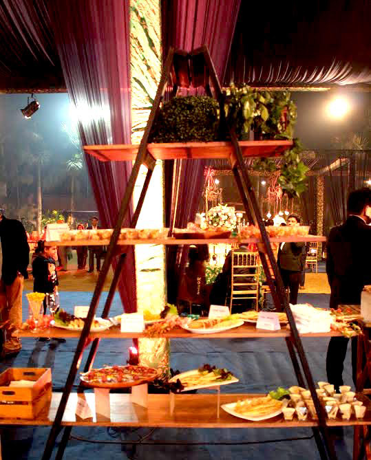 Best wedding caterers in delhi
                     